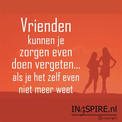 grappige vriendschap quotes|53 vrienden quotes: deze citaten doen je vriendschap。